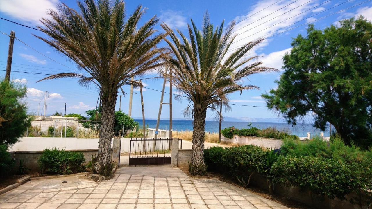 Summerhouse Peggy: Close To Athens Airport By The Sea Artemida  Exteriér fotografie